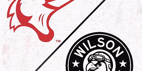 Myrtle Beach Pelicans vs. Wilson Warbirds