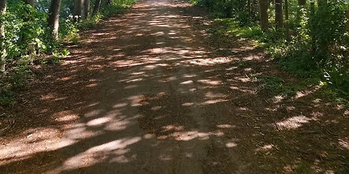 Rando 22 kms Cassel