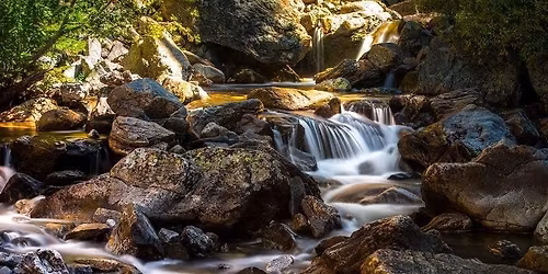 Spring Waters at St Andrew\u2019s Chippenham 