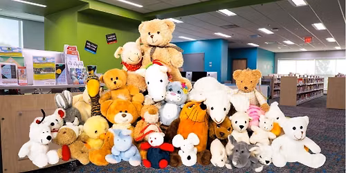 Stuffed Animal Sleepover & Storytime