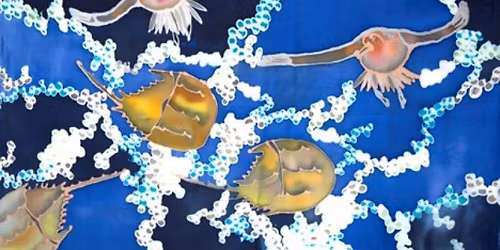 Music and Silk: An Ancient Animal and a Shorebird\u2019s Survival