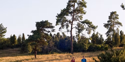 Wandern mit dem Eifelverein: Traumpfad Heidehimmel Volkesfeld
