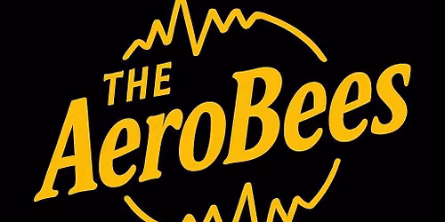 AeroBees