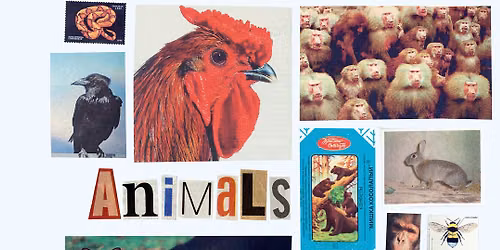 Vernissage ANIMALS
