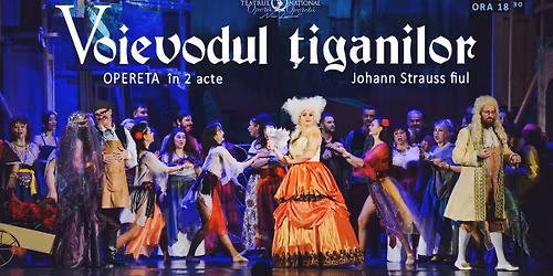 Voievodul \u021biganilor