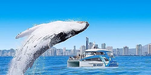 WHALE WATCHING CRUISE