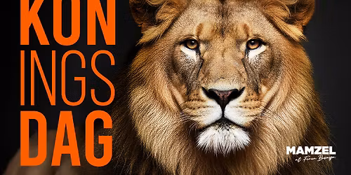 Koningsdag in Marbella \ud83d\udc51\ud83e\udde1