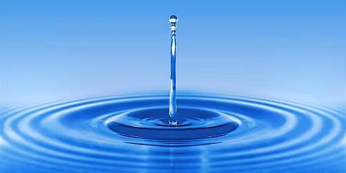 The Unseen Lifeline: Groundwater's Role in Cape Cod\u2019s Ecosystem