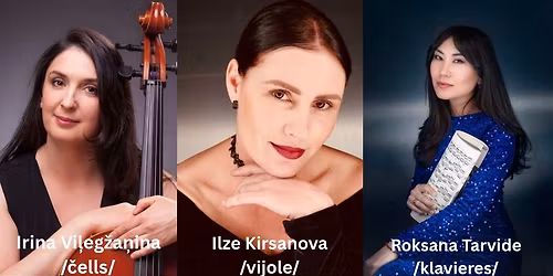 Dv\u0113seles st\u012bgas