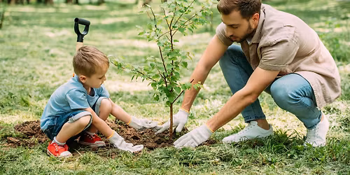 Tree Maintenance Workshop