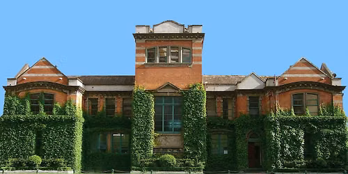Annual Old Girls' Association Afternoon Tea
