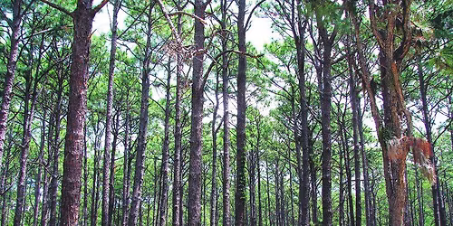  Woodville Karst Plain Project