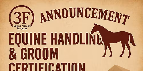 Equine Handling & Grooming