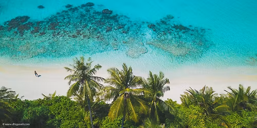 Dive & Wellness Retreat