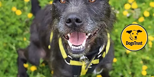 Join us for a FREE Barkstage Tour at the Leeds Rehoming Centre!