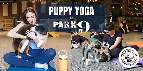 Park-9 Puppy Yoga with Sweet Paws Rescue