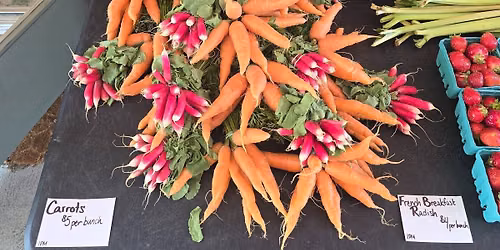 Pawtucket Farmers Market x Shri Yoga