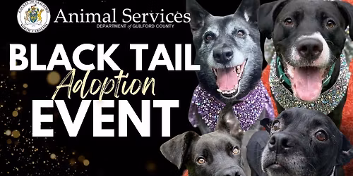 Black Tail Adoption Event