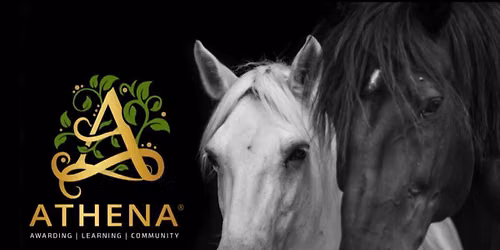 Equine Assisted Services (EAS) ONSITE Foundation Certificate Onsite 