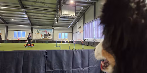 Hoopers dupl\u00e1z\u00f3