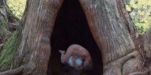 MORGENBRIEFING: ROOTED festival & House for Homeless Grief 