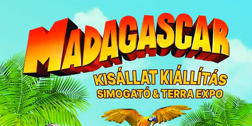 \ud83d\udc3eMADAGASCAR KIS\u00c1LLAT KI\u00c1LL\u00cdT\u00c1S  \ud83d\udc3e BALATONALM\u00c1DI