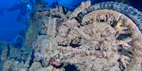 R\u00f6da Havet 5-12 December 2025