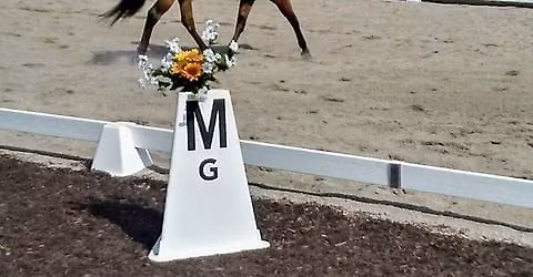 Jodi Lees Ride-a-Test Clinic