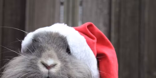 Setk\u00e1n\u00ed chovatel\u016f, burza na V\u00fdstavi\u0161ti v P\u0159erov\u011b 14. 12. 2025