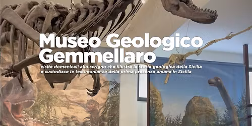 Apertura straordinaria domenicale Museo geologico Gemmellaro