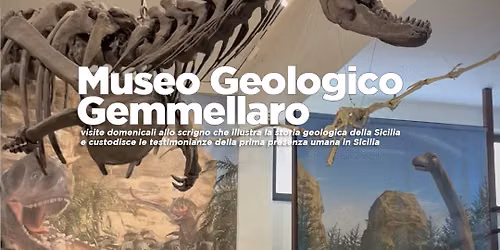 Apertura straordinaria domenicale Museo geologico Gemmellaro
