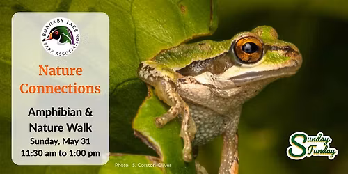 BLPA Nature Connections - Amphibian & Nature Walk