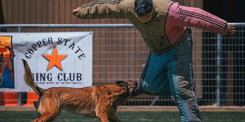 CSRC New Year's 2026 Trial