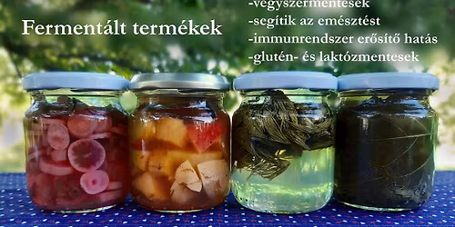 " Amikor a bacik nek\u00fcnk \u00e9s \u00e9rt\u00fcnk dolgoznak" - ferment\u00e1l\u00e1s alapjai - INGYENES tanfolyam