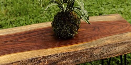 Kokedama Workshop