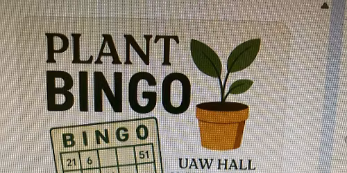 Plant Bingo