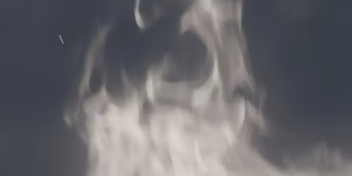 Actress, Jameszoo in Amsterdam