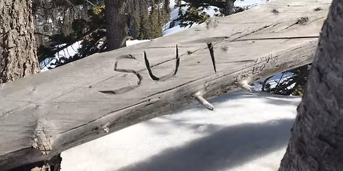 Sut's Faux-Kanee Release Day