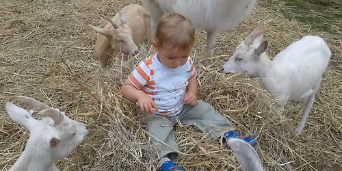 March\u00e9 fermier des f\u00e9es