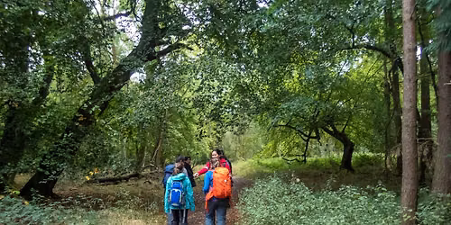 Panoramic Hike: Ivinghoe Beacon \u2013 Mon 25 May 2026 (Bank Holiday)