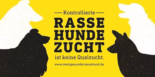 CAC Penig, 36. Sachsenschau CfBrH