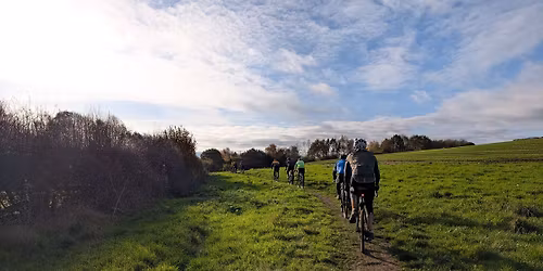 The National Forest Explorer 2026