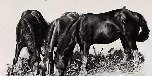 Western Art Show:  Rachel Brownlee & Abigail Gutting: When the Dust Settles