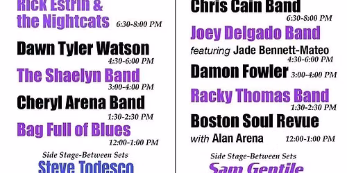 Damon Fowler - North River Blues Festival, Marshfield, MA