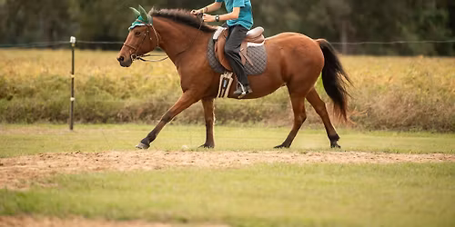 Levels 1+2 Walk\/Trot\/Canter riding days