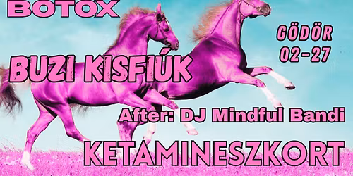 BOTOX \/\/ BUZI KISFI\u00daK \/\/ KETAMINESZKORT \/\/ after: Mindful Bandi