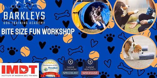 \u2728 NEW - Bite Size Fun Workshop 