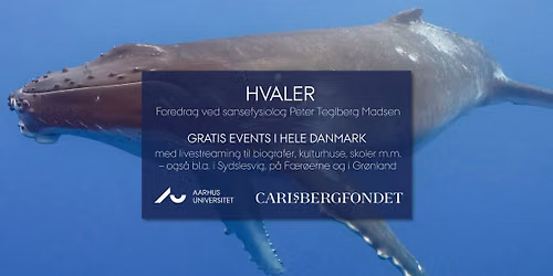 Offentlige foredrag i Naturvidenskab - Havets K\u00e6mper