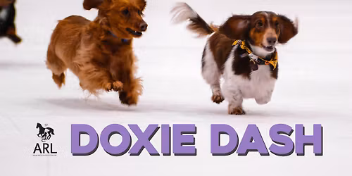 ARL Doxie Dash