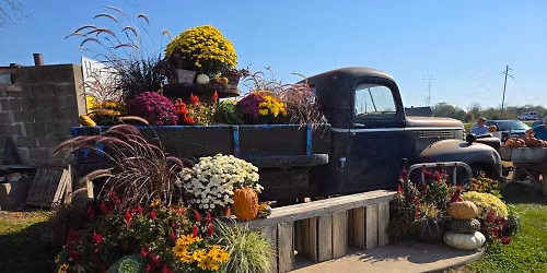 FALL FUN FOR EVERYONE